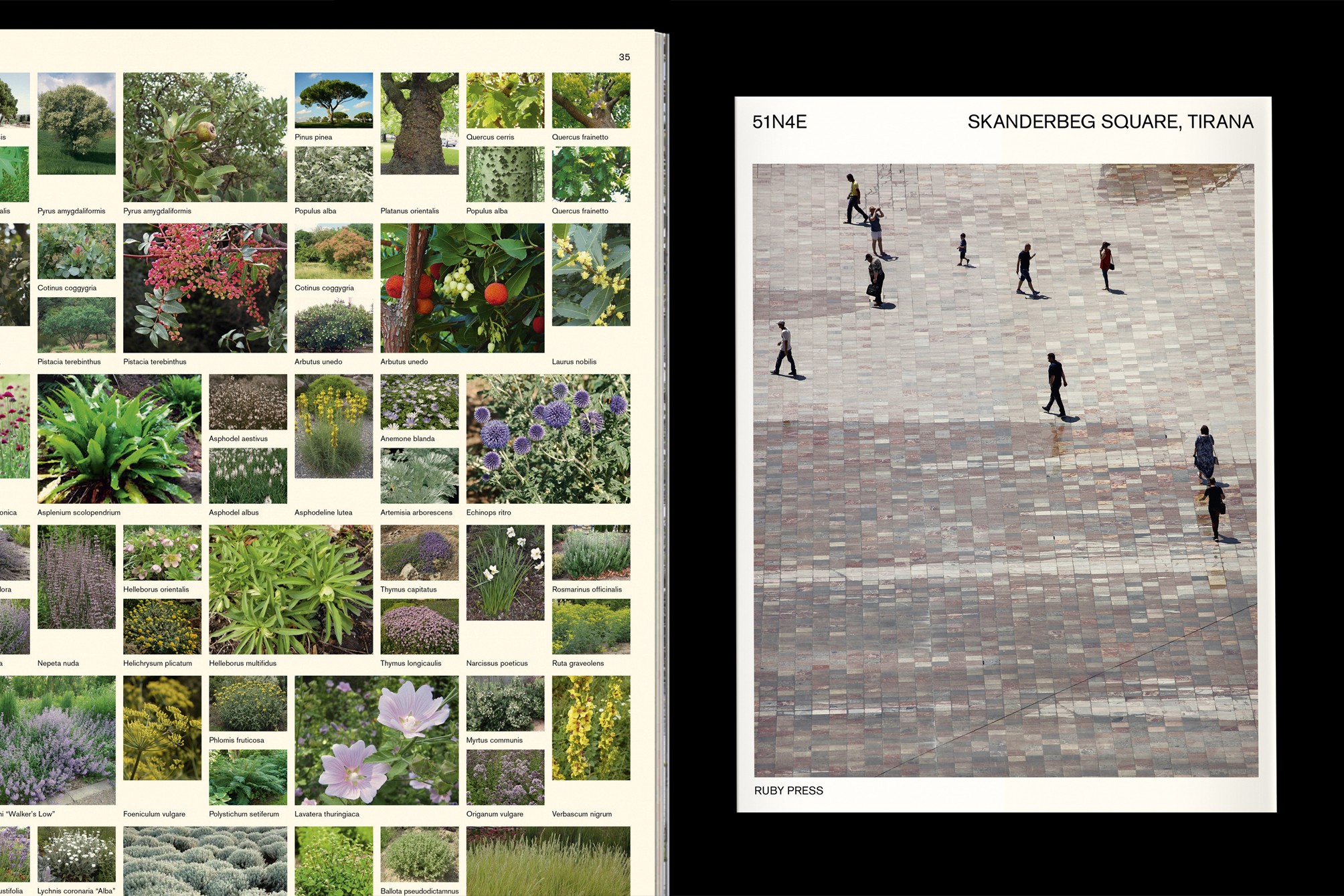 Studio Otamendi Chapter 1 00