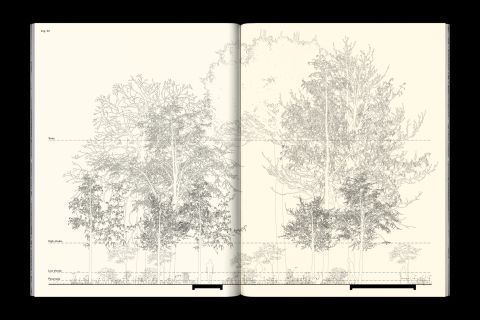 Studio Otamendi Skanderbeg 12