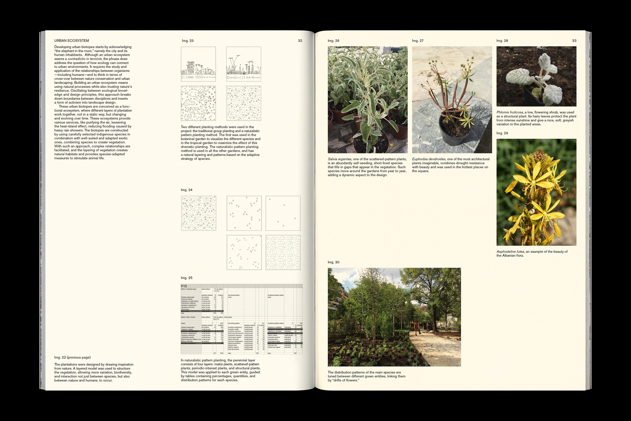 Studio Otamendi Skanderbeg 13