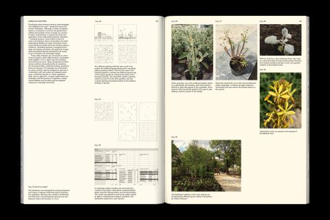 Studio Otamendi Skanderbeg 13