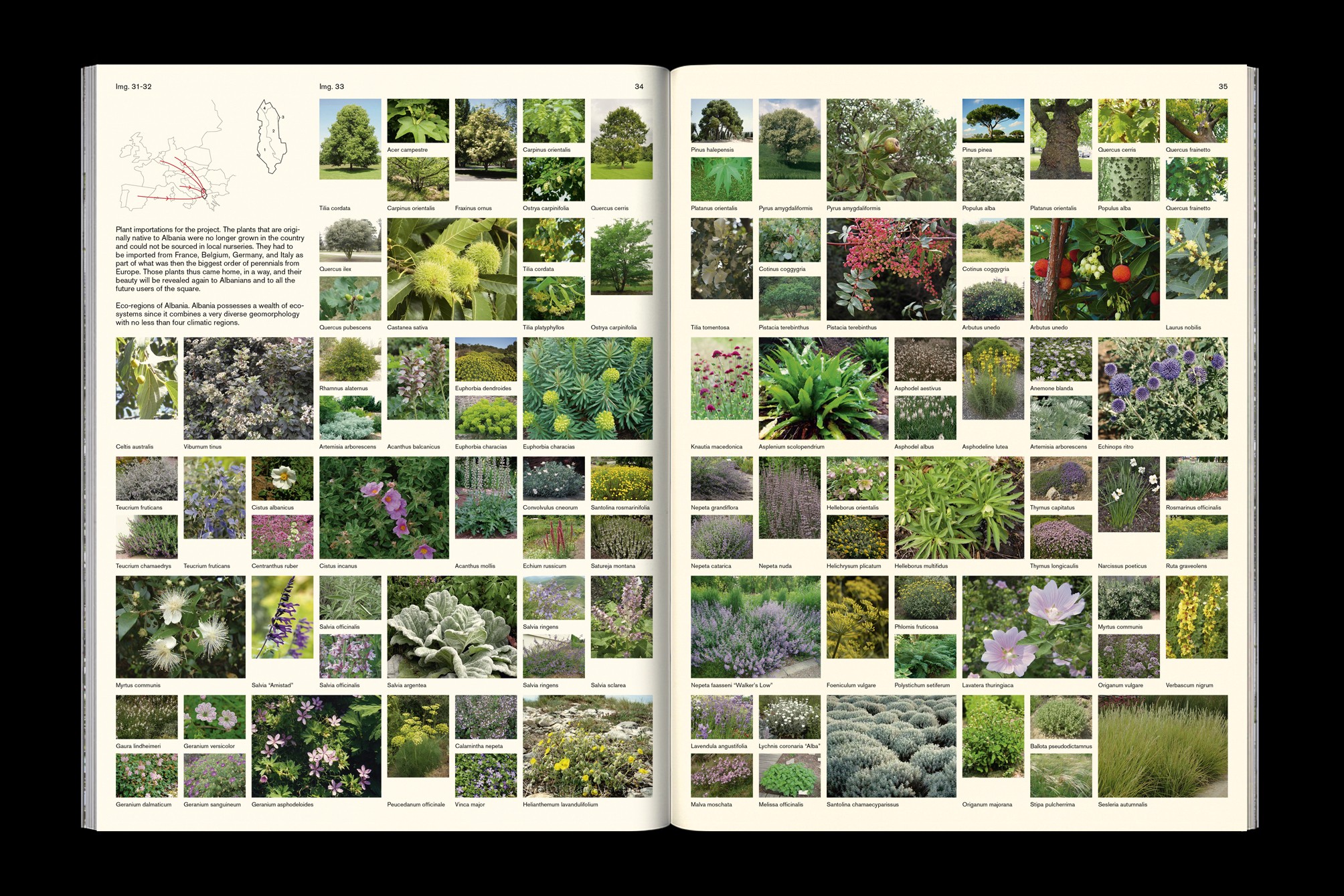 Studio Otamendi Skanderbeg 14