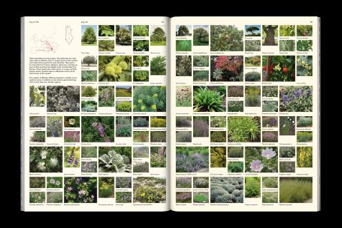 Studio Otamendi Skanderbeg 14