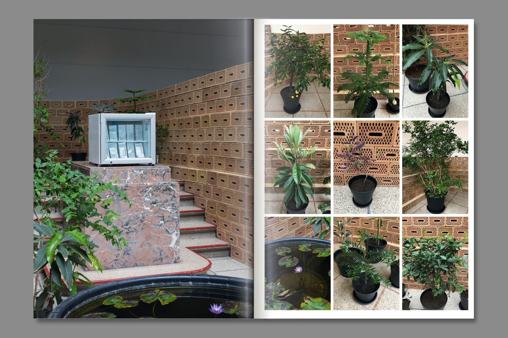 Studio Otamendi Raffella Open Field 07 