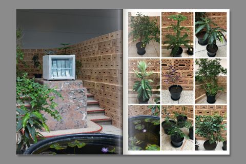 Studio Otamendi Raffella Open Field 07