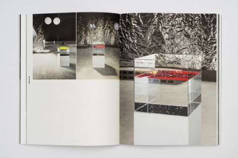 Studio Otamendi Ann Veronica Janssens 09