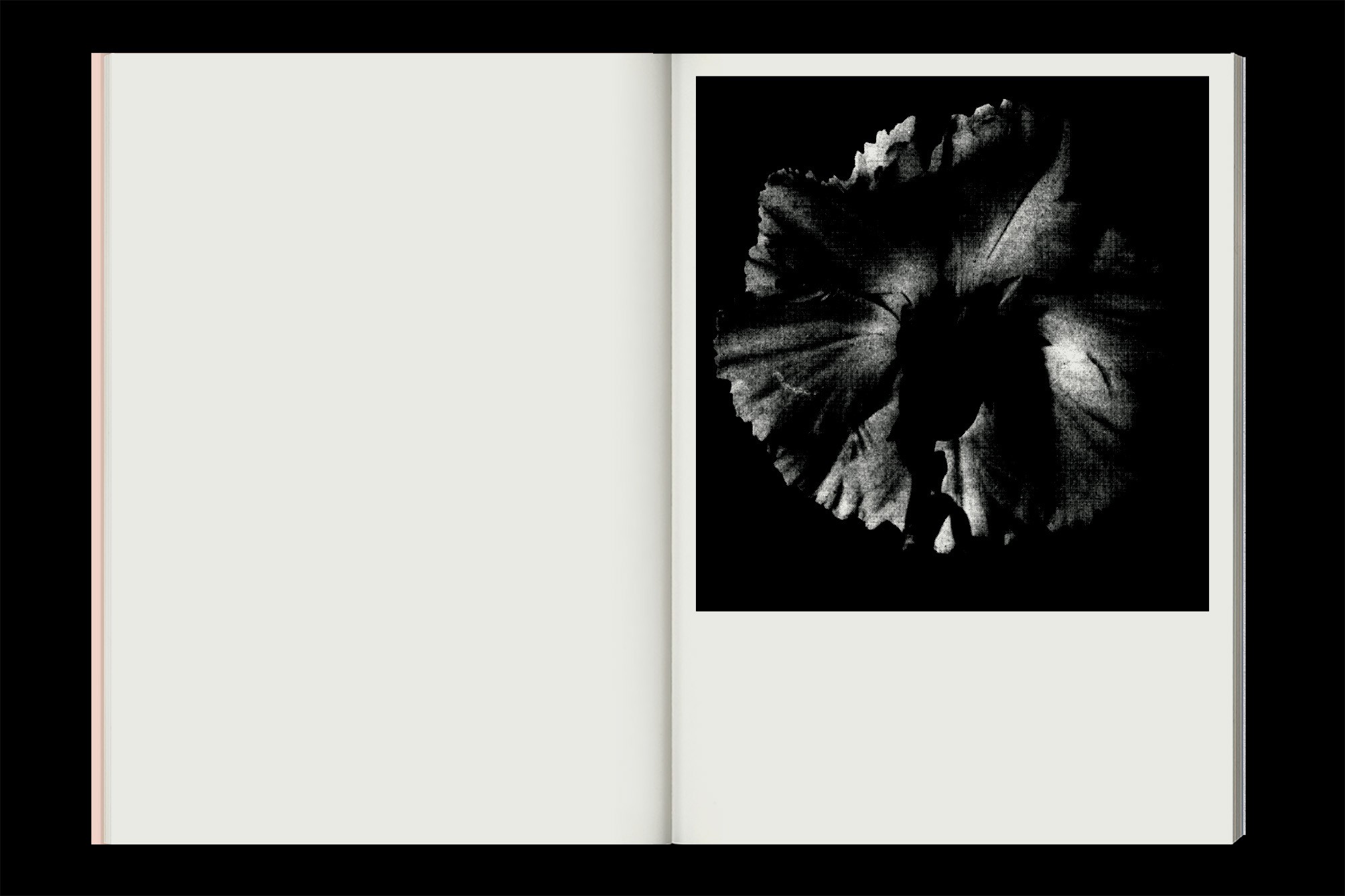 Studio Otamendi Hors La 06