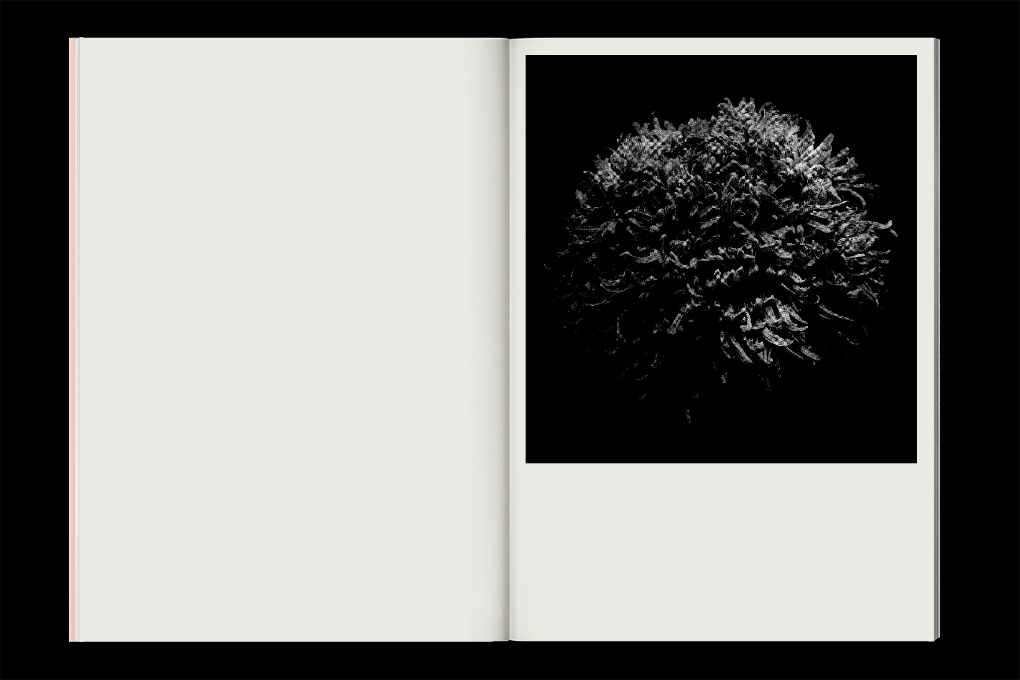 Studio Otamendi Hors La 10