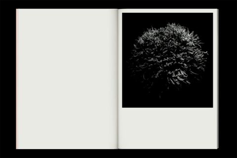 Studio Otamendi Hors La 10