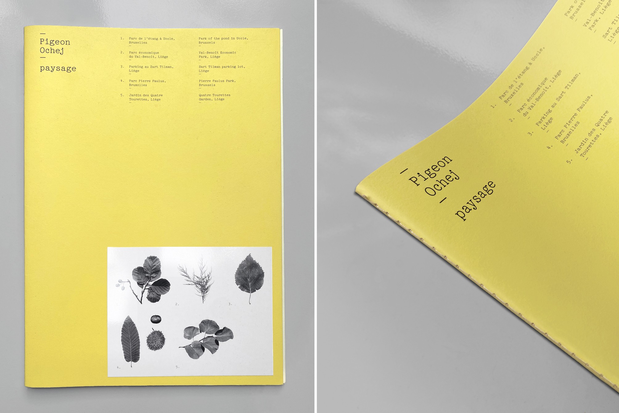 Studio Otamendi Pigeon Ochez Paysage 00 