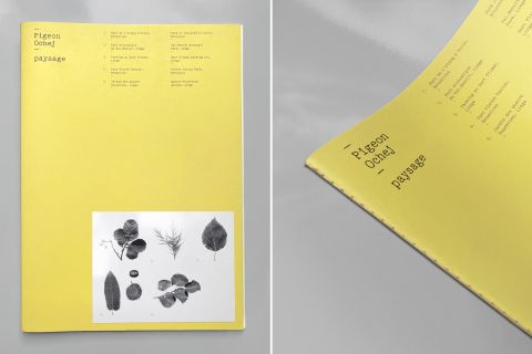 Studio Otamendi Pigeon Ochez Paysage 00