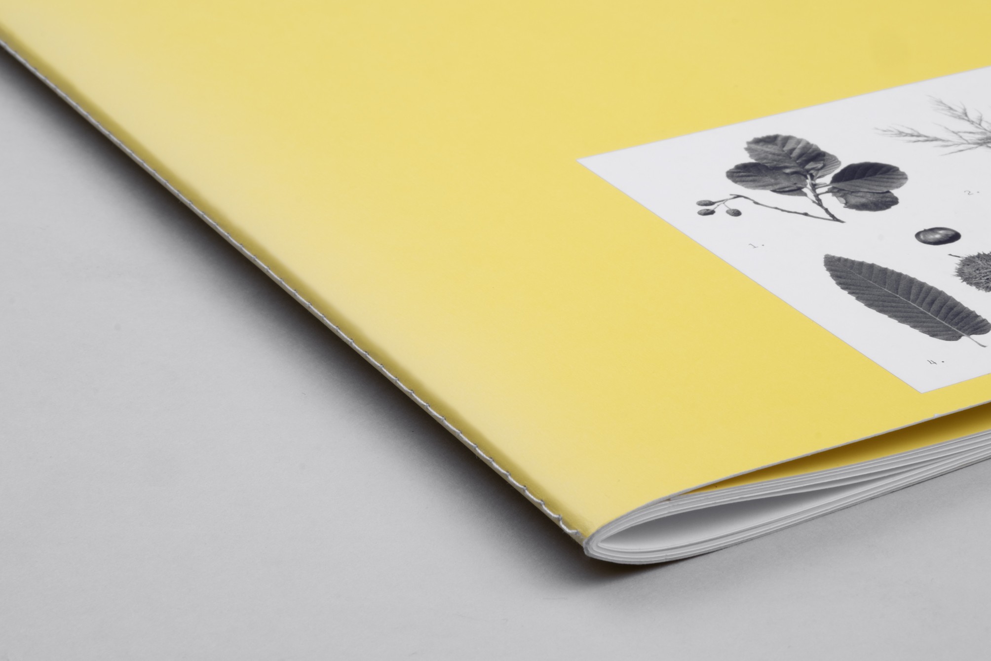 Studio Otamendi Pigeon Ochez Paysage 07