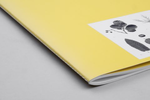 Studio Otamendi Pigeon Ochez Paysage 07