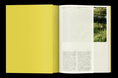 Studio Otamendi Pigeon Ochez Paysage 01