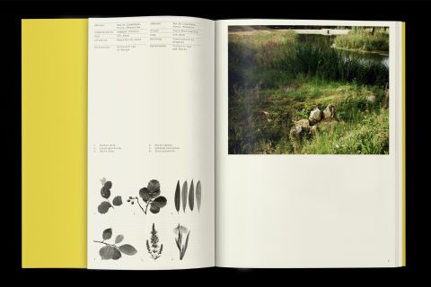 Studio Otamendi Pigeon Ochez Paysage 02