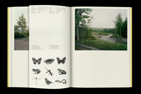 Studio Otamendi Pigeon Ochez Paysage 04