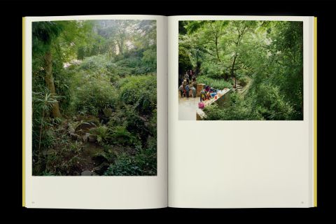 Studio Otamendi Pigeon Ochez Paysage 05